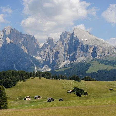 Naturresidence Dolomitenhof Siusi Exterior foto